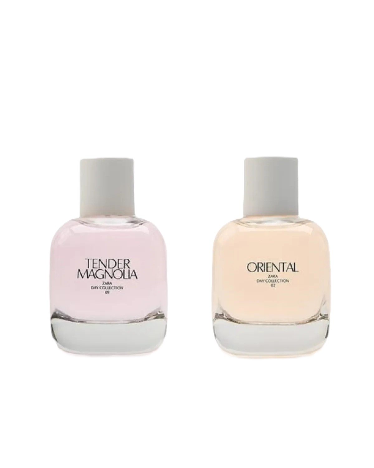 coffret parfum Zara Day Collection – Tendre Magnolia & Oriental